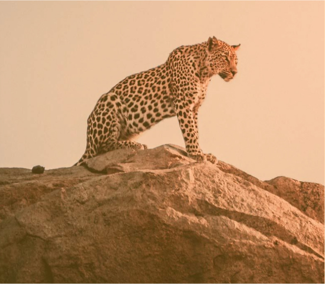 South African Countrywide tours