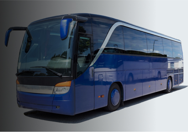 LUXURY COACH HIRE AND TRANSFERS