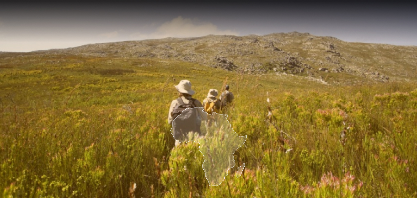 SOUTH AFRICAN COUNTRYWIDE TOURS