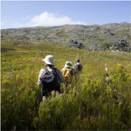 SOUTH AFRICAN COUNTRYWIDE TOURS