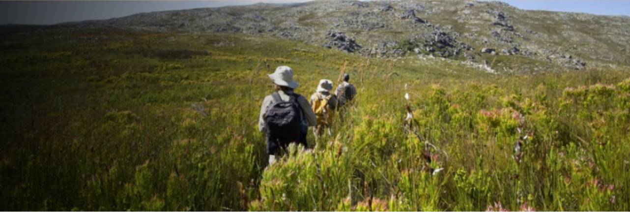 SOUTH AFRICAN COUNTRYWIDE TOURS
