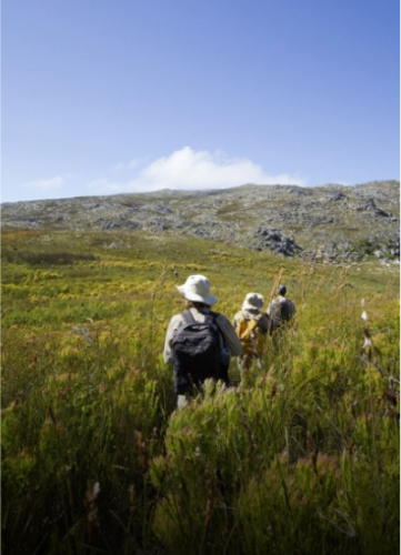SOUTH AFRICAN COUNTRYWIDETOURS