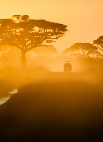 TRAVEL AGENCY